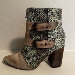 Freebird by Steven Taupe and Teal Snake-Print Buckle Ankle Boot